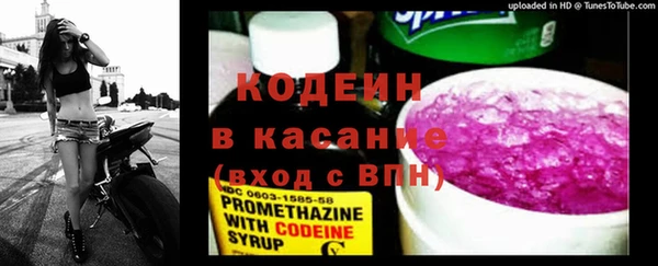 молекула духа Белокуриха