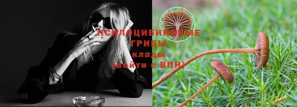 молекула духа Белокуриха