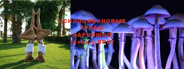 амф Беломорск