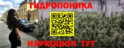 мдма Кингисепп