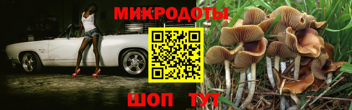 Бузулук  Псилоцибиновые грибы Magic Shrooms  Вход с VPN 